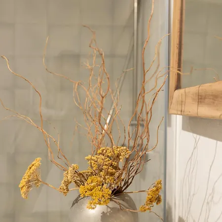 La Bergerie Willa Argelès-sur-Mer